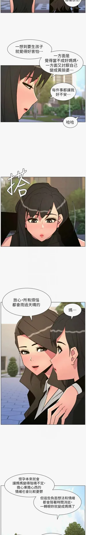 第256页图