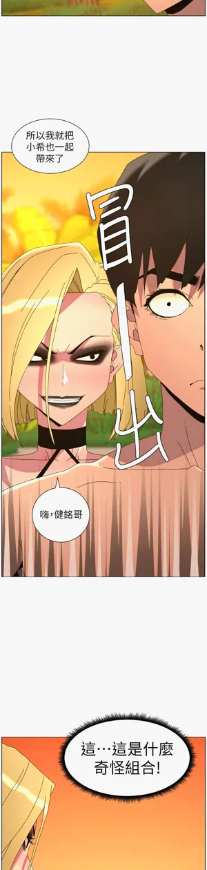 第333页图