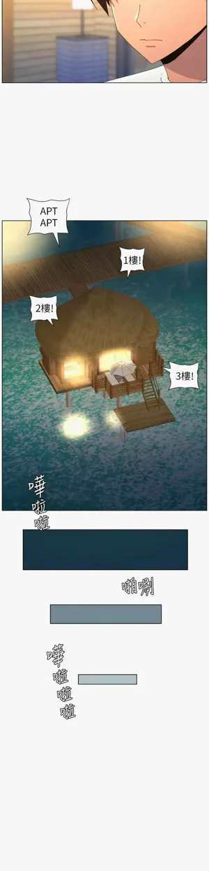 第376页图