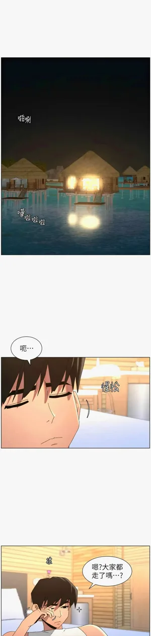 第377页图