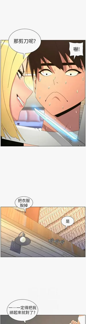 第381页图