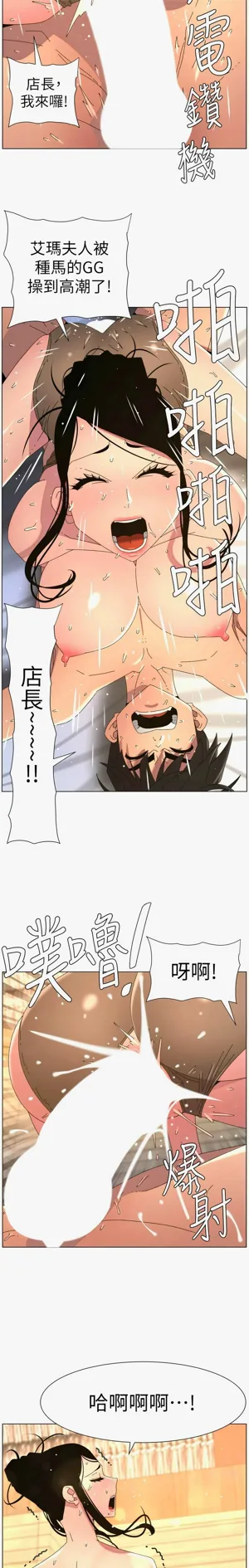 第411页图