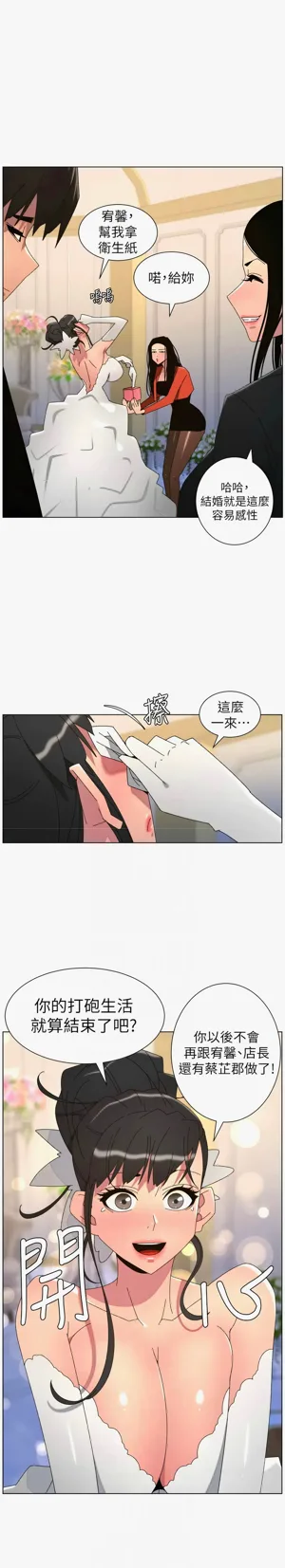第533页图