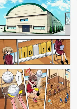 第233页图