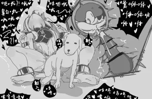 第31頁圖