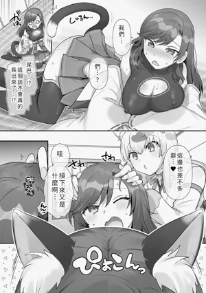第11页图