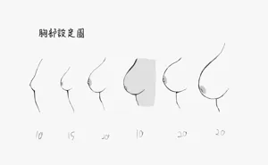 第21頁圖