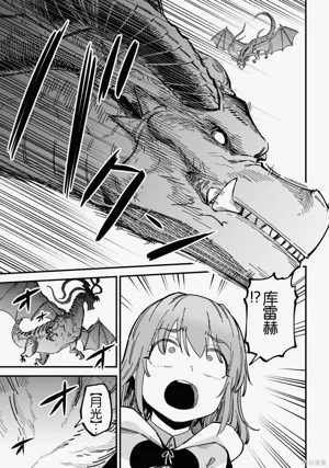 第409頁圖