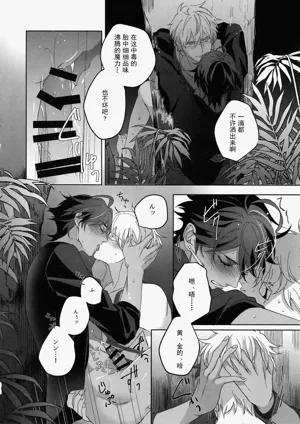 第211页图