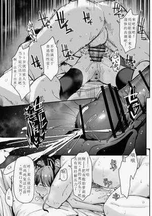 第17页图