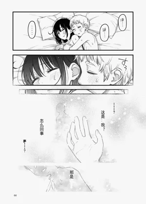 第66頁圖