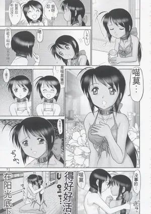 第20頁圖