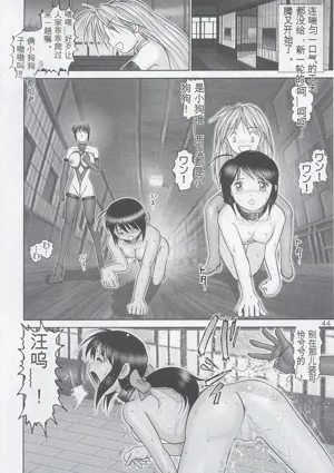 第43頁圖