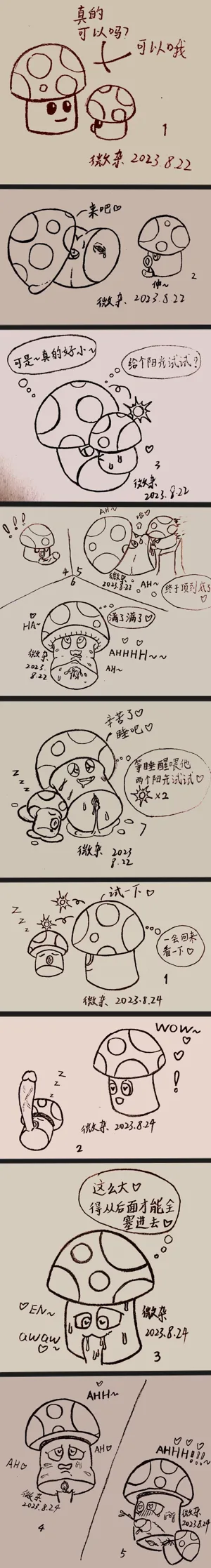 第14頁圖