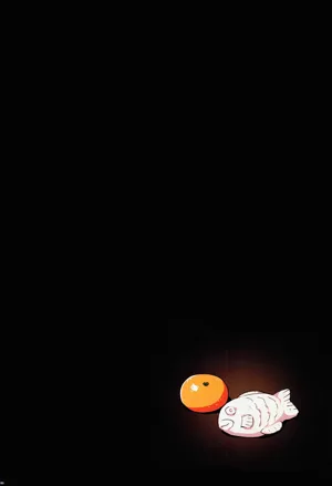 第85頁圖
