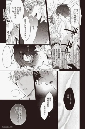 第41頁圖