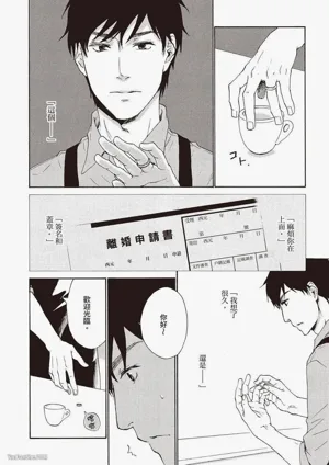 第8页图