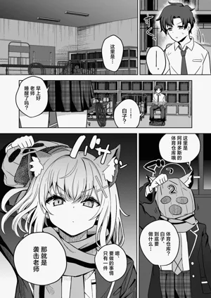 第11页图