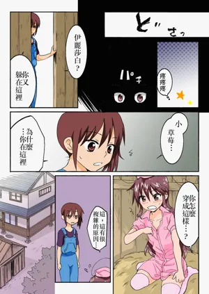第295頁圖