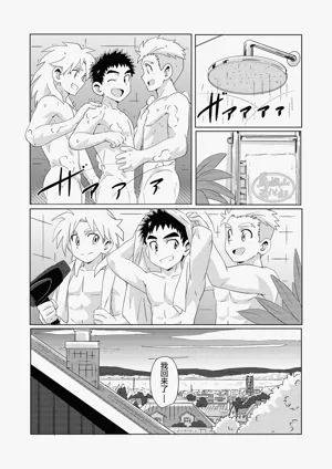 第29頁圖