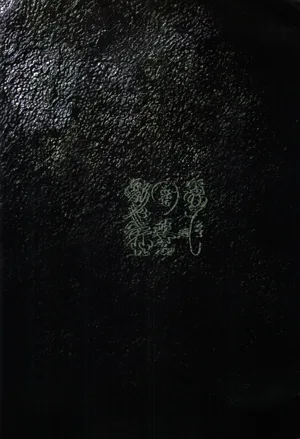 第120頁圖