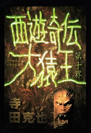 第95頁圖