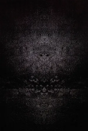 第111頁圖
