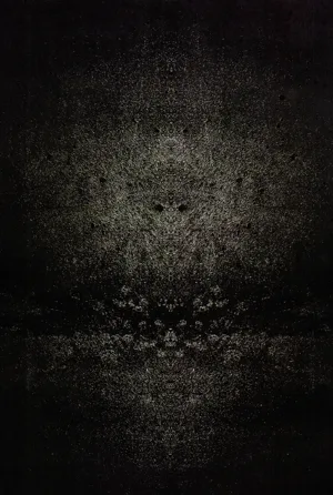 第41頁圖