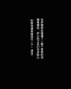 第13页图