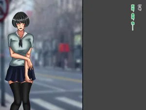 第229頁圖