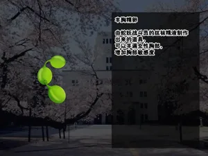 第251頁圖