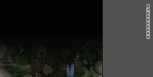 第142頁圖