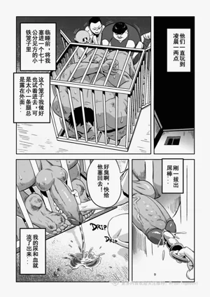 第28页图