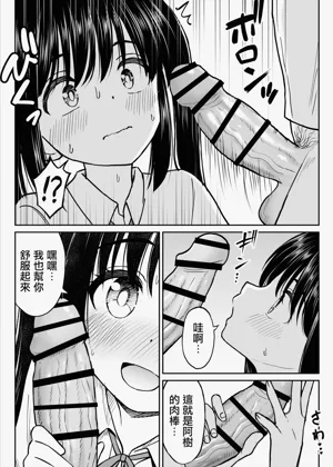 第33页图