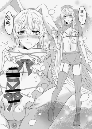 第43頁圖