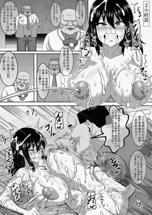 第250页图