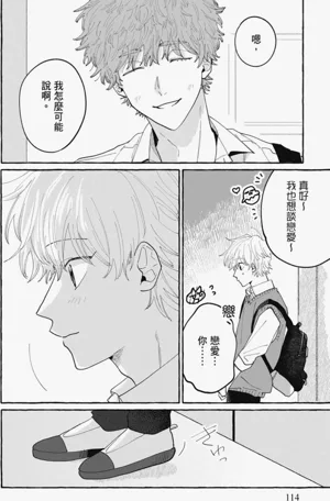 第116页图