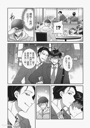 第202頁圖