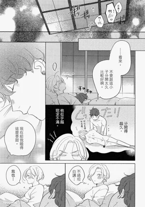 第204頁圖