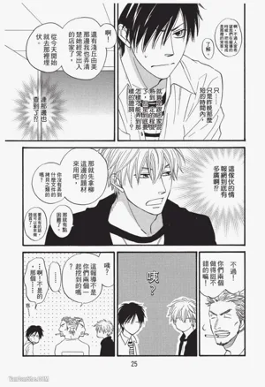 第25页图
