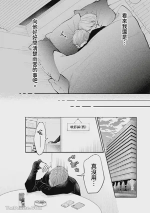 第256頁圖