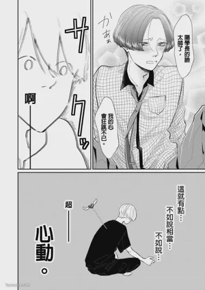 第27頁圖