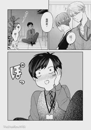 第295頁圖