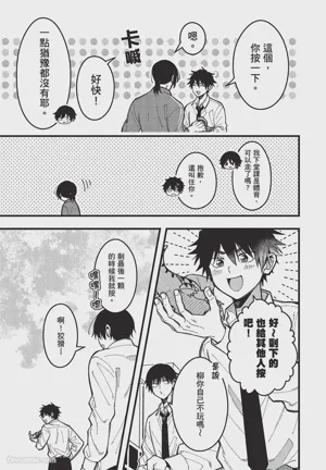 第142頁圖