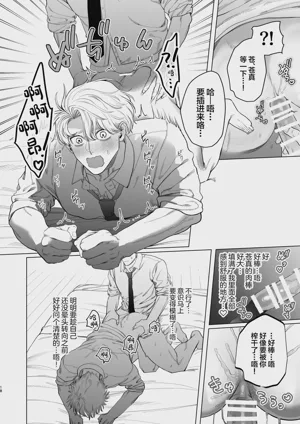 第17页图