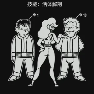第177页图