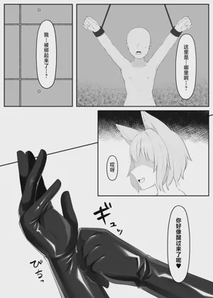 第3页图