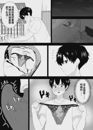 第8页图