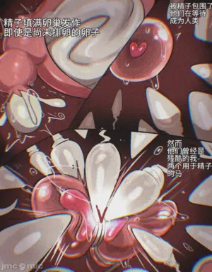 第12頁圖