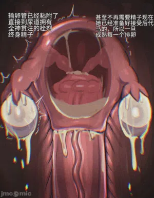 第20頁圖